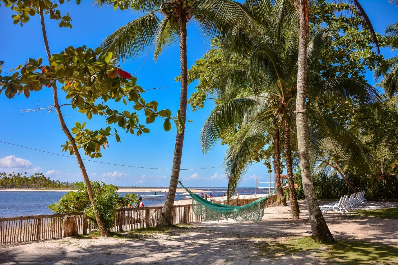 Pousada Vila Palma Boipeba Velha Boipeba Eksteriør bilde
