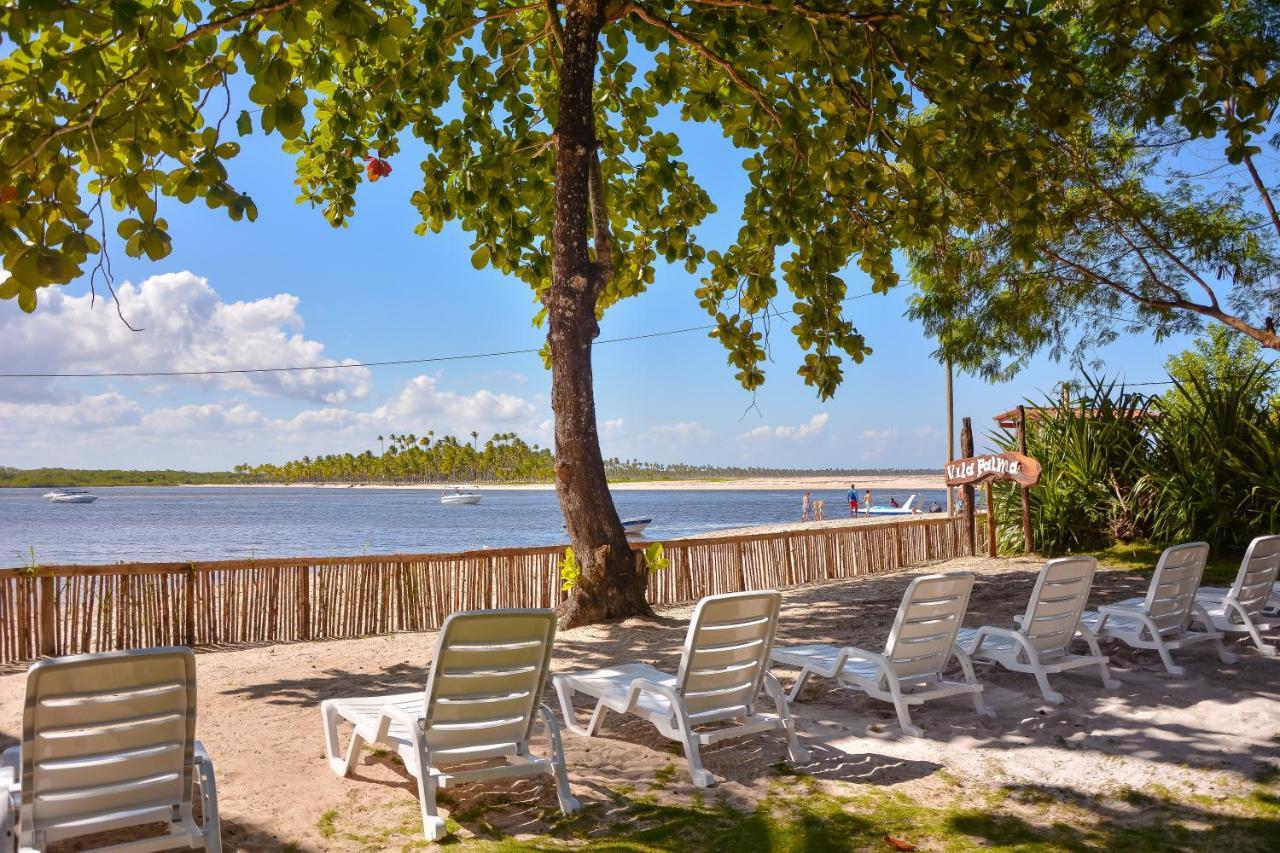 Pousada Vila Palma Boipeba Velha Boipeba Eksteriør bilde
