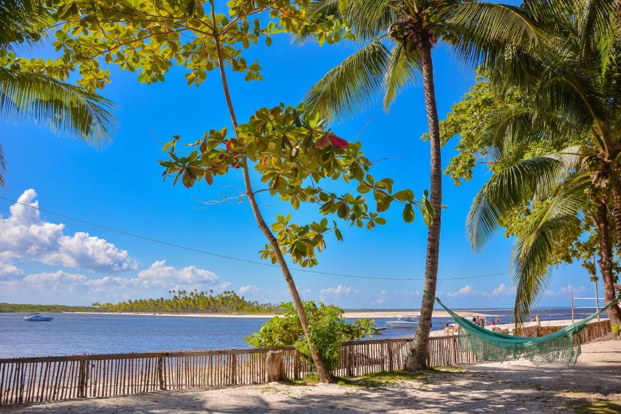 Pousada Vila Palma Boipeba Velha Boipeba Eksteriør bilde