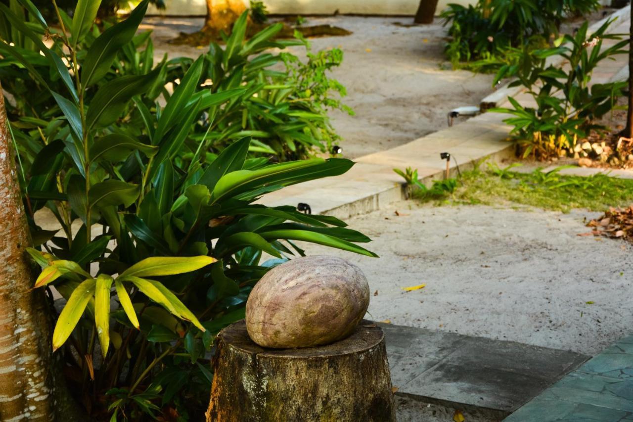 Pousada Vila Palma Boipeba Velha Boipeba Eksteriør bilde