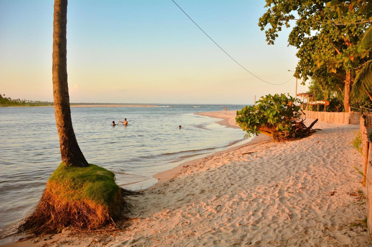 Pousada Vila Palma Boipeba Velha Boipeba Eksteriør bilde